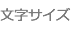 文字サイズ